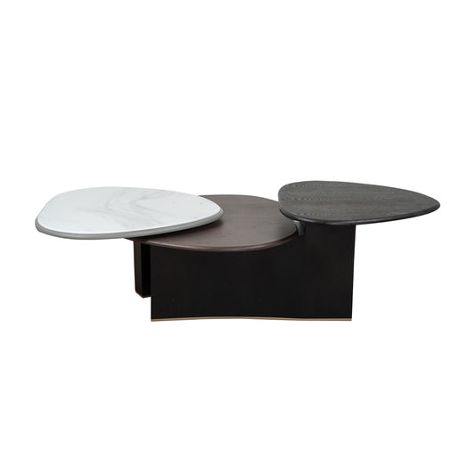 CoffeeTable Set 2521